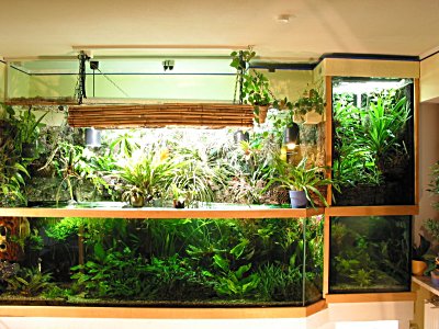 Komplettansicht Aquarium mit Paludarium