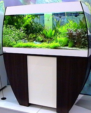 Eheim-Aquarium