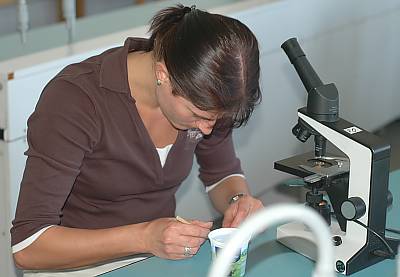 Teilnehmer beim Mikroskopieren