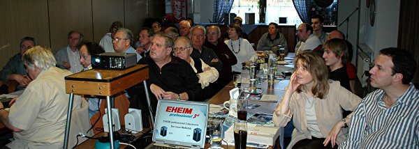 gebanntes Publikum