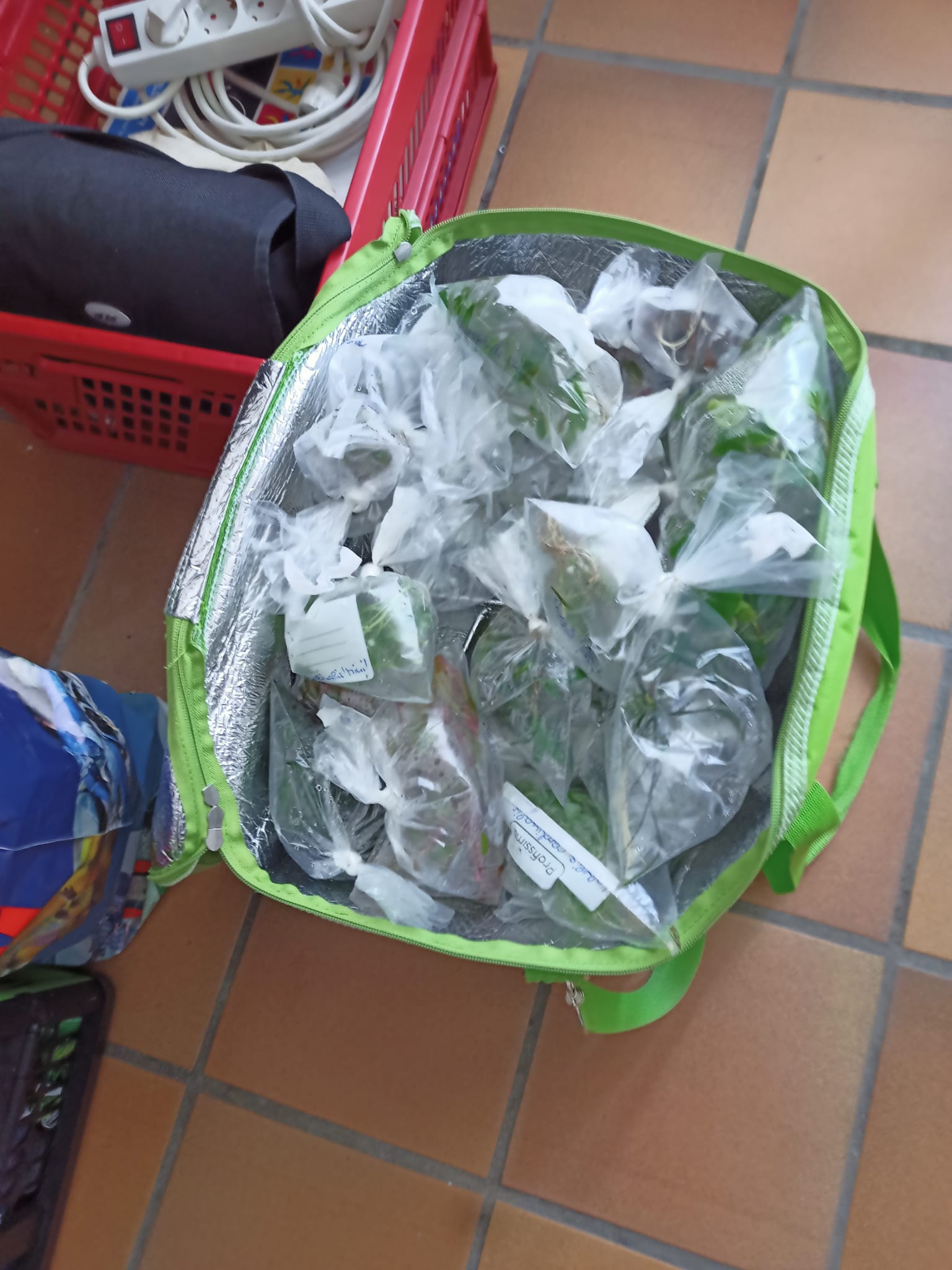 Tasche mit vielen Pflanzentüten