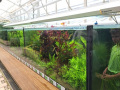 Becken der Aquarienausstellung