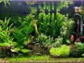 Jochen-Aquarium-1024x435